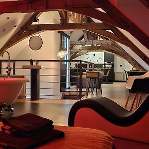  Appartement Loft Martigné-ferchaud France